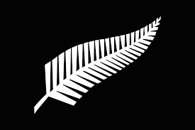 New Zealand Silver Fern Flag