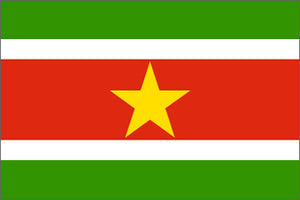 Suriname Flag
